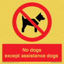 no-dogs-except-assistance-dogs~